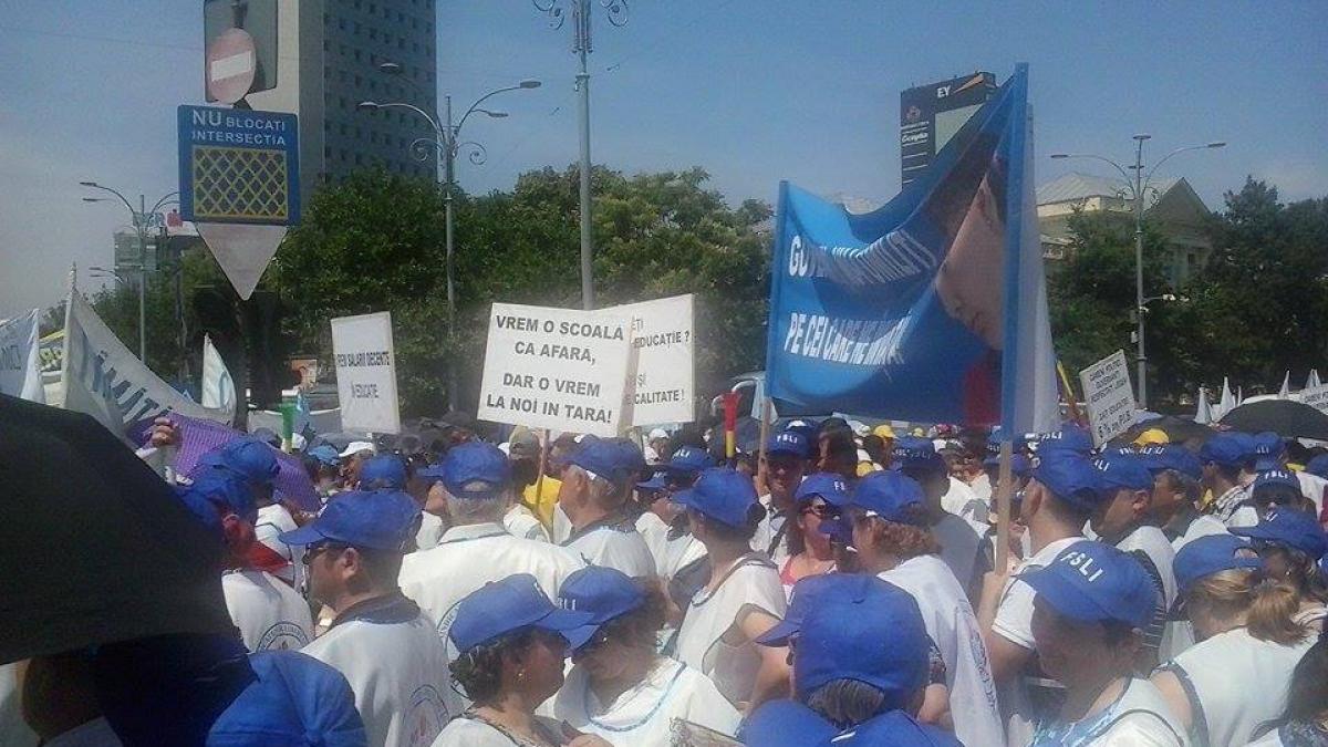 hadar protest guvern educatie salarii