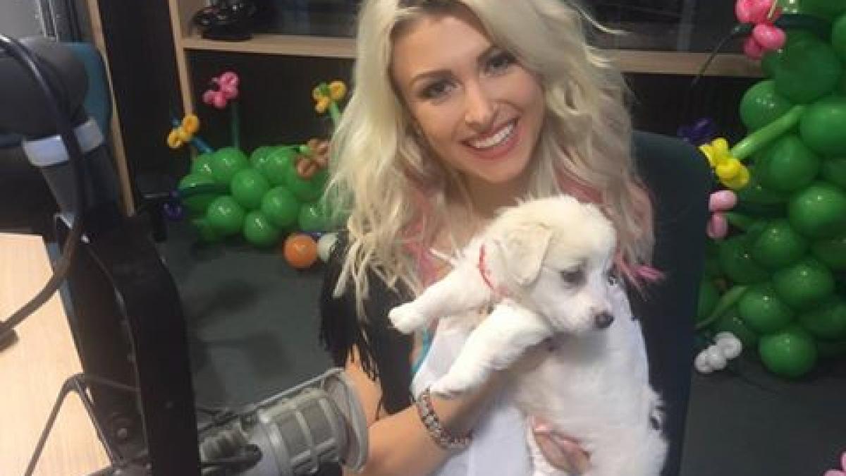 cat de sexy este andreea balan cum a fost fotografiata artista insarcinata la ultimul concert