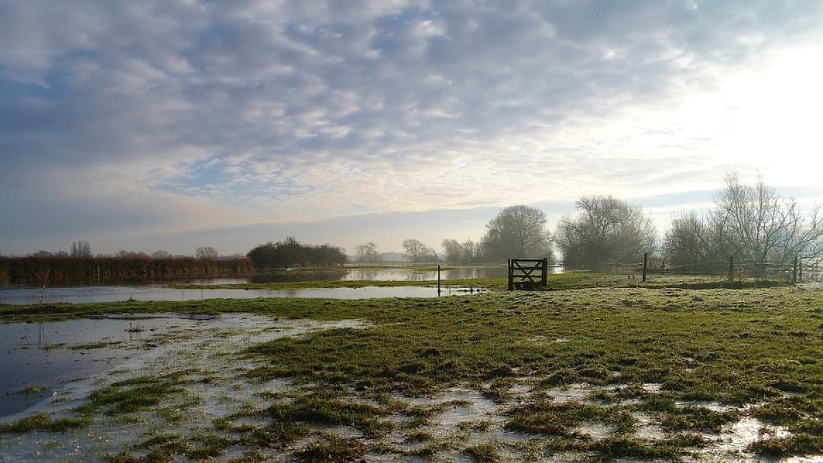 cod rosu de inundatii pe trotus si afluentii sai