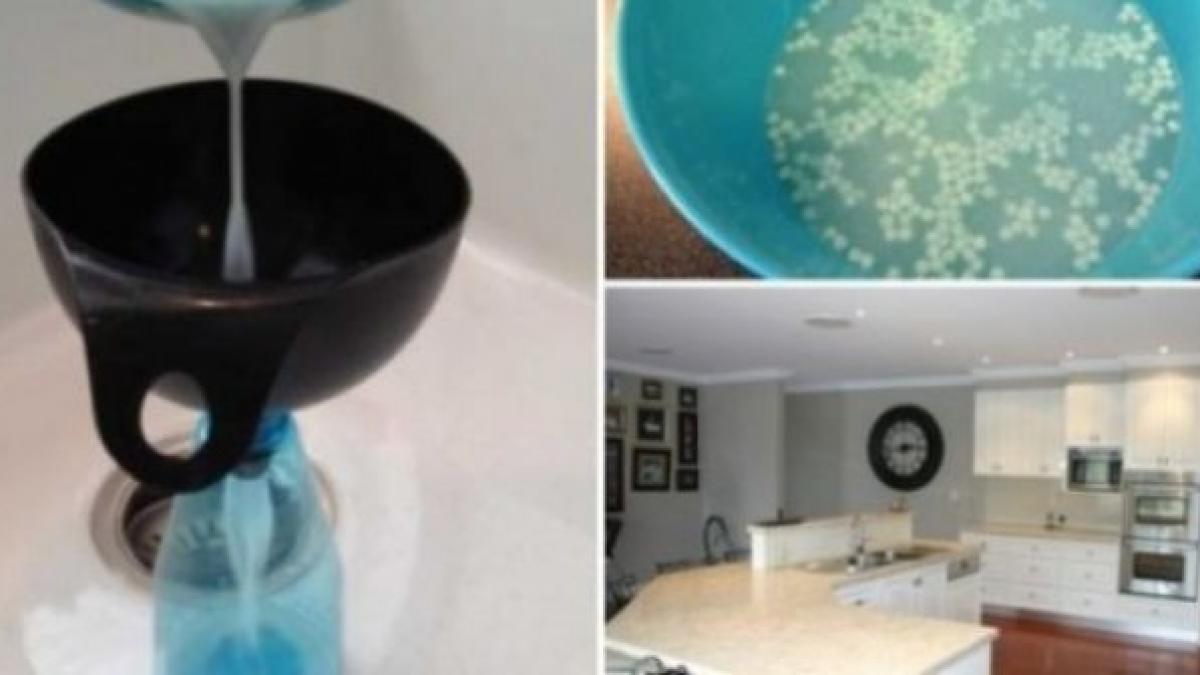 metoda secreta prin care casa ta va mirosi mereu placut si proaspat