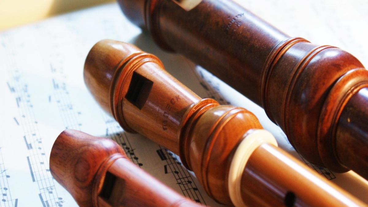 profesor de muzica tentativa de viol ce a facut barbatul