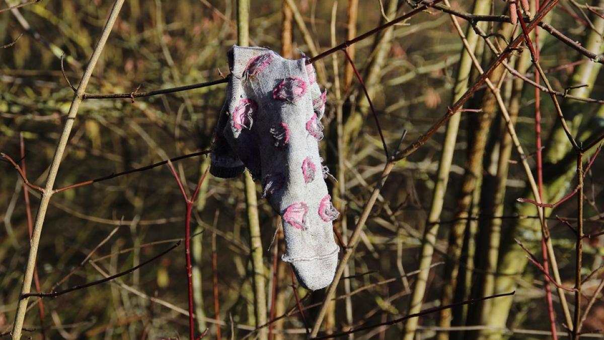 alerta in judetul iasi un copil de cinci ani a disparut de doua zile