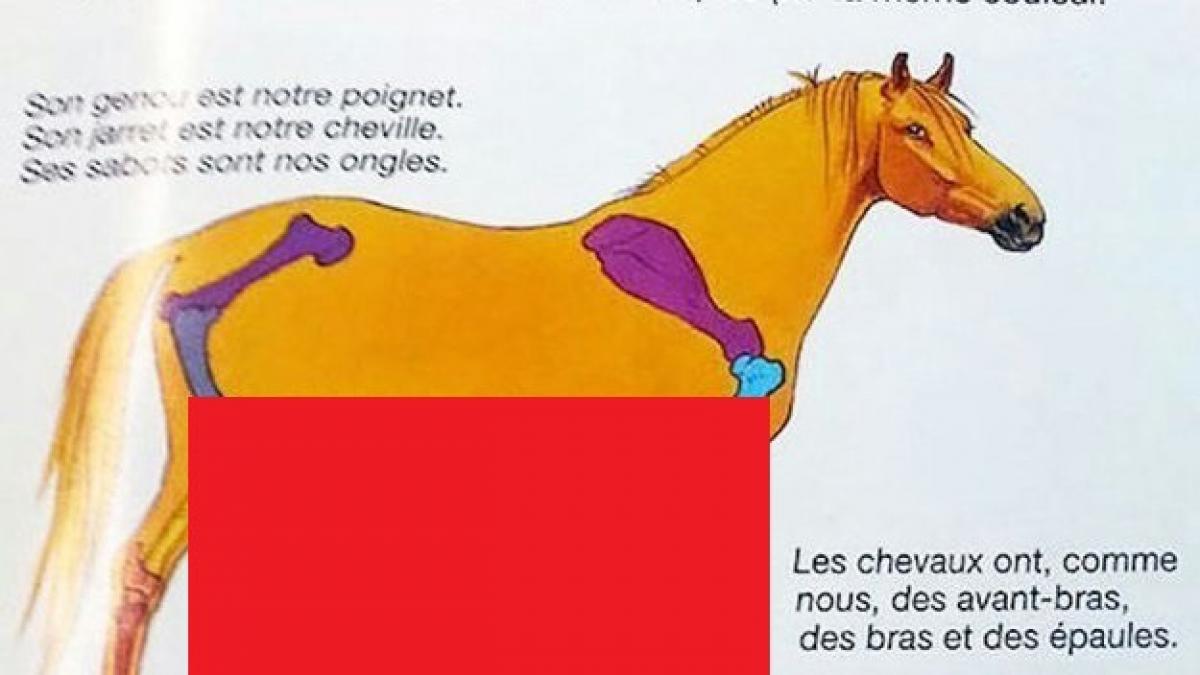 imagine franta manual carte cal