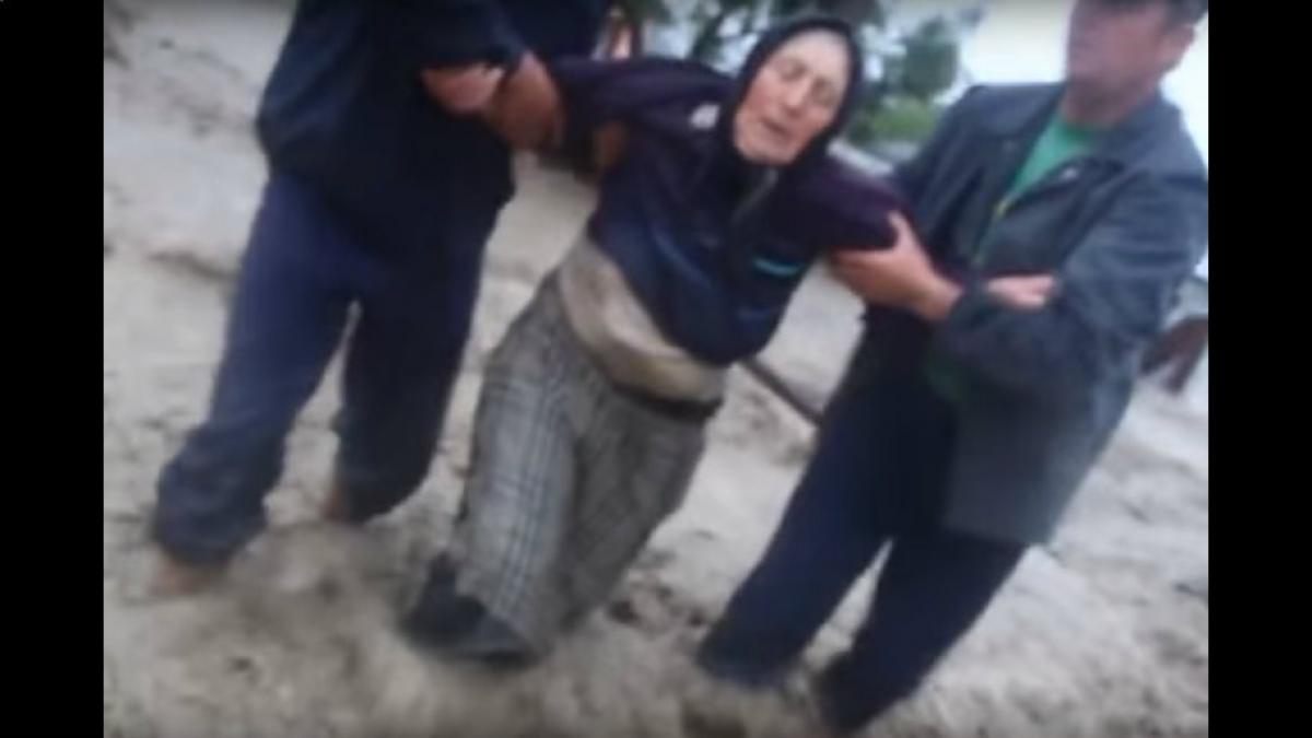 imagini video facebook batrana viitura