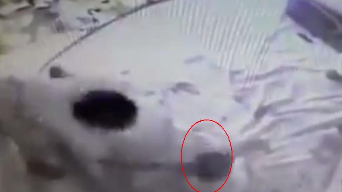 si a lasat fiul de cateva luni in grija bonei fara sa banuiasca ceva a inceput sa planga cand a