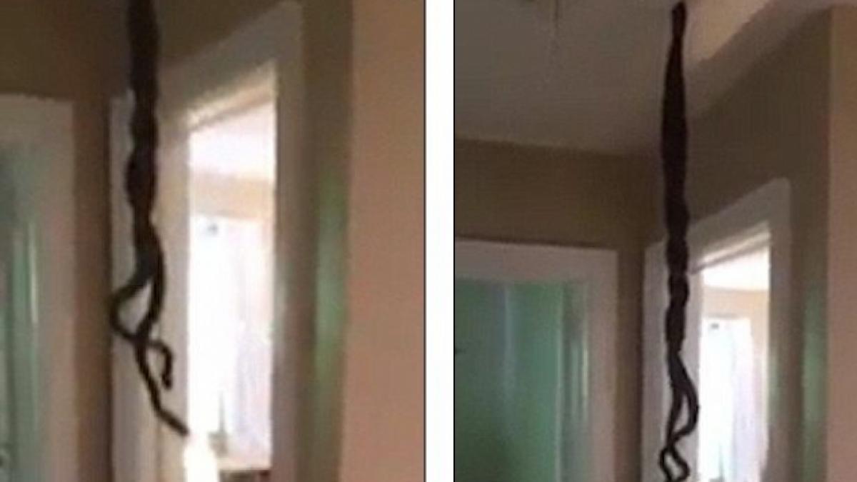 a fost la un pas de lesin cand a deschis usa casei si a vazut ce atarna de tavan barbatul asta a