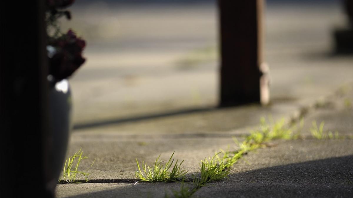 britanic pensionar sotie masina parcare