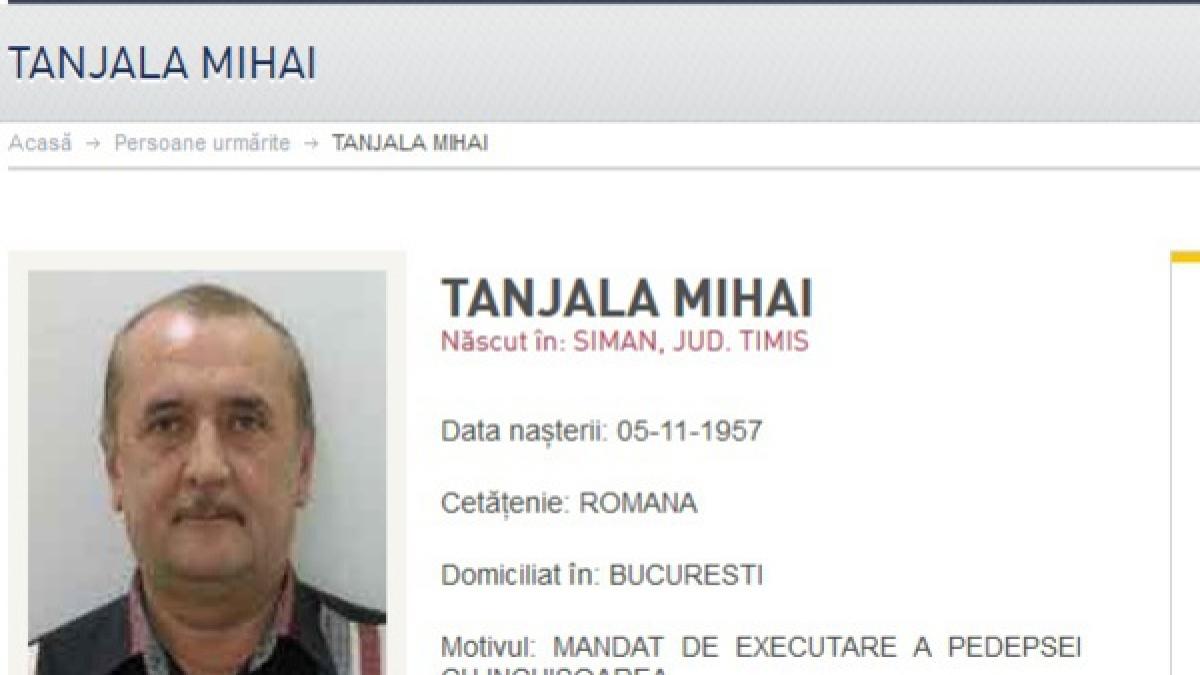 mihai tanjala poate fi extradat