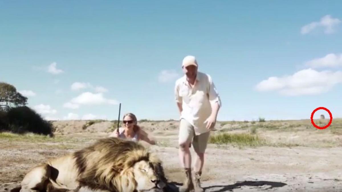 isi faceau poze cu leul pe care l au ucis fara sa stie ca moartea statea la panda asteptand sa se