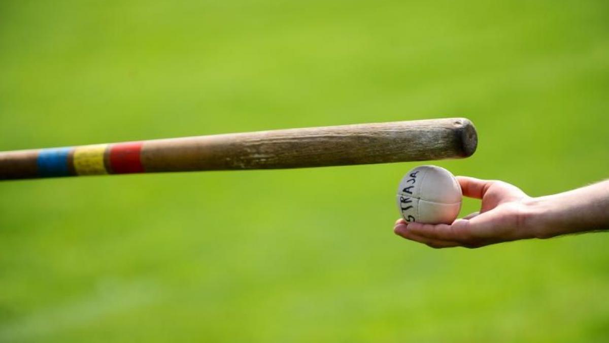 nicolae pasarica cel mai mare jucator de oina a murit