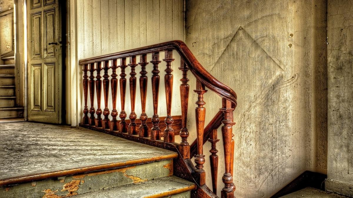 povestea femeilor care traiesc singure intr un bloc cu 15 apartamente