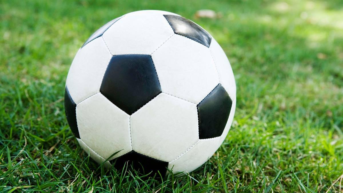 romania franta meci parcul bazilescu sectorul 1