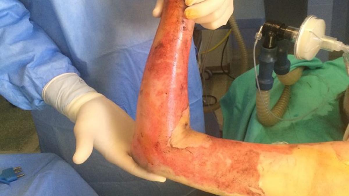 tedy supravietuitoare club colectiv imagini