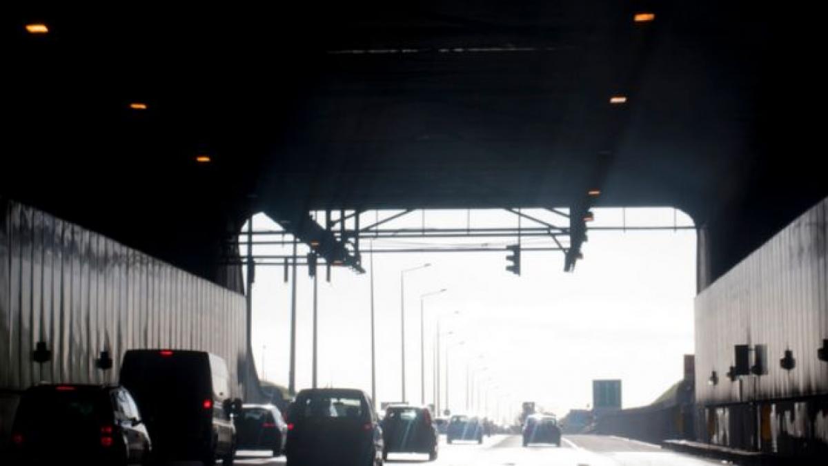 sofer taxa timbru de mediu