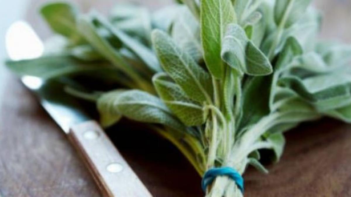 transpiri abundent uite cum sa ti prepari un antiperspirant natural la tine acasa