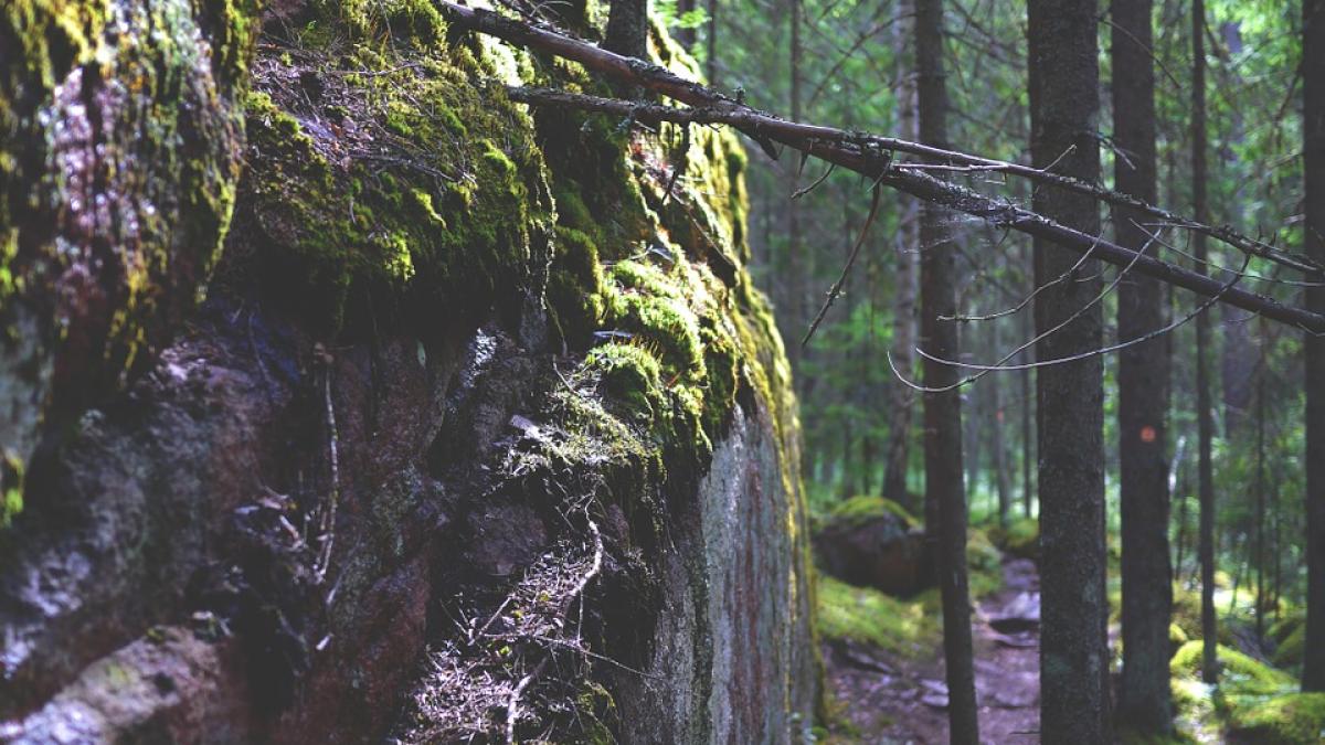 descoperire arheologica orase medievala paduri cambodgia