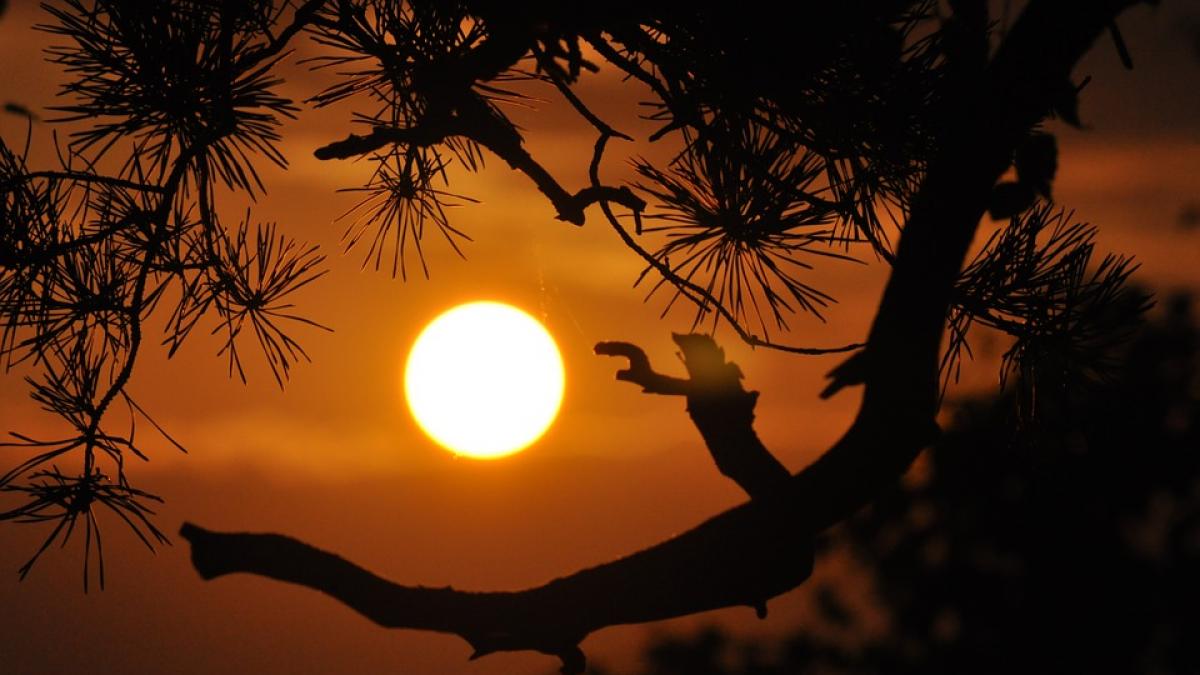 temperatura globala record caldura