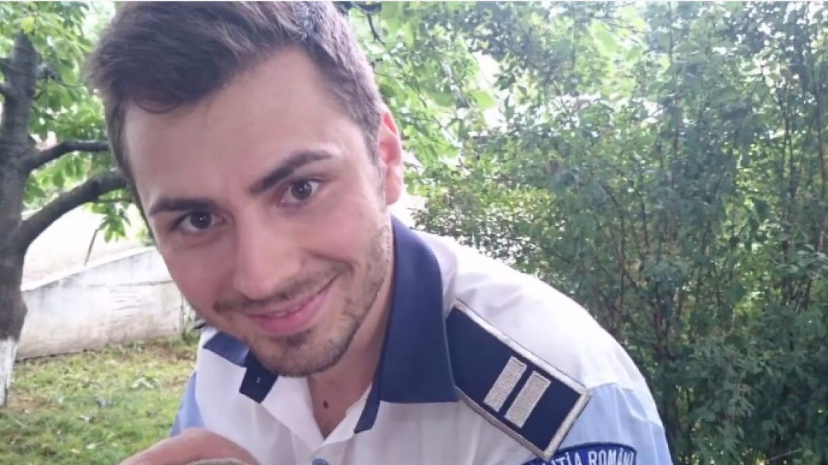 pui de bufnita politie