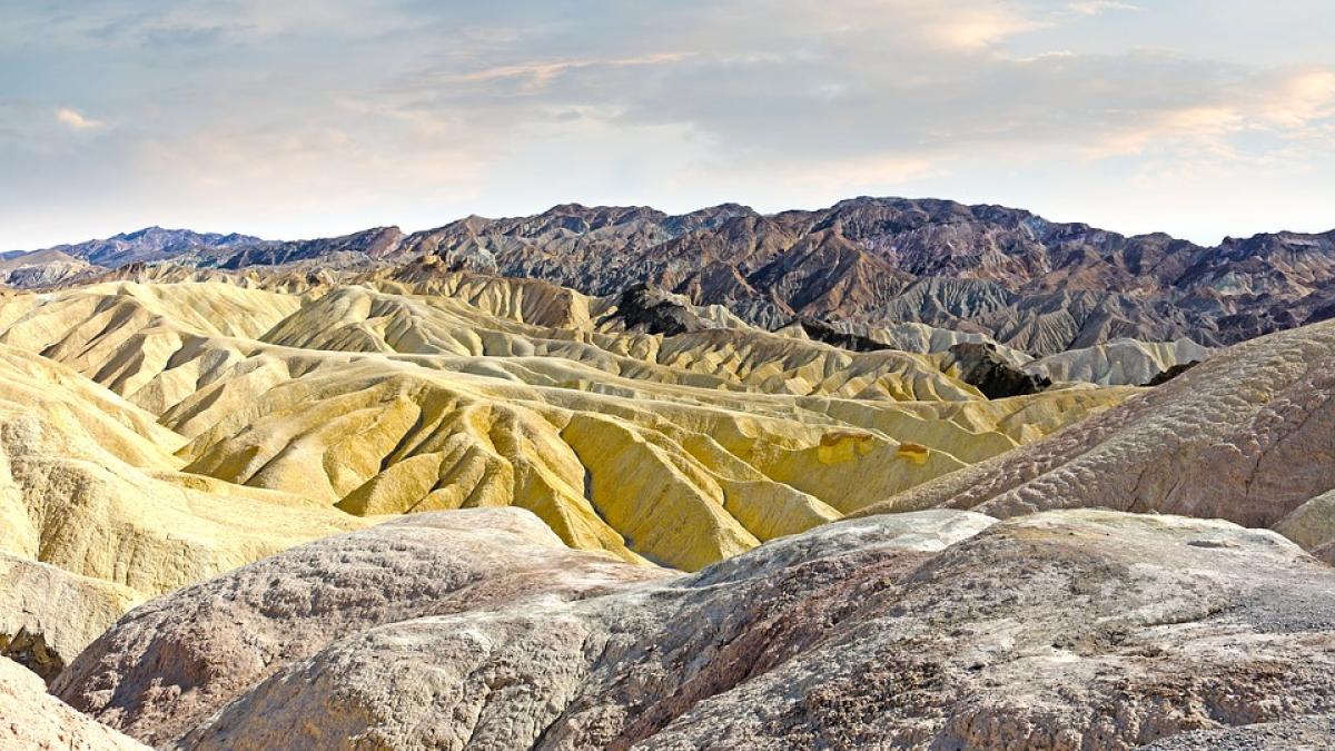 descoperire uimitoare are o vechime de 470 de milioane de ani