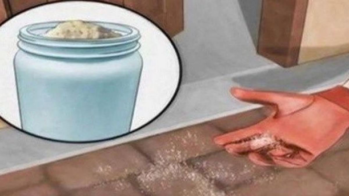 genial uite ce trebuie sa imprasii prin toata casa ca sa scapi de furnici