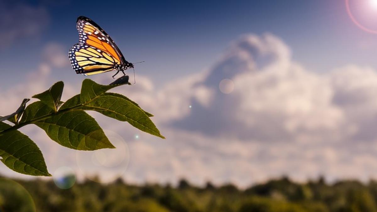 record de temperatura la miercurea ciuc nu s a mai intamplat de peste 50 de ani