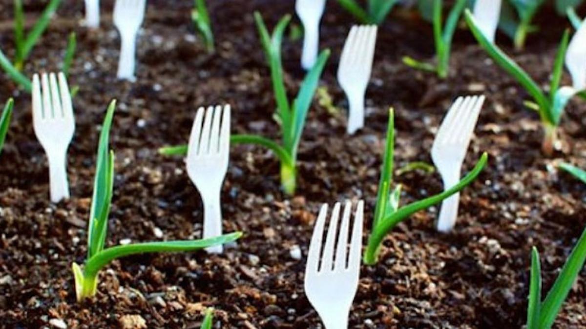 a infipt furculite de plastic in gradina motivul este genial uite de ce