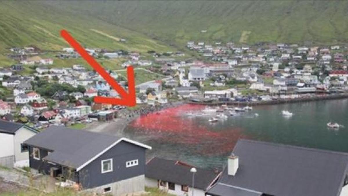 au facut o poza la malul marii si au observat ca apa era rosie