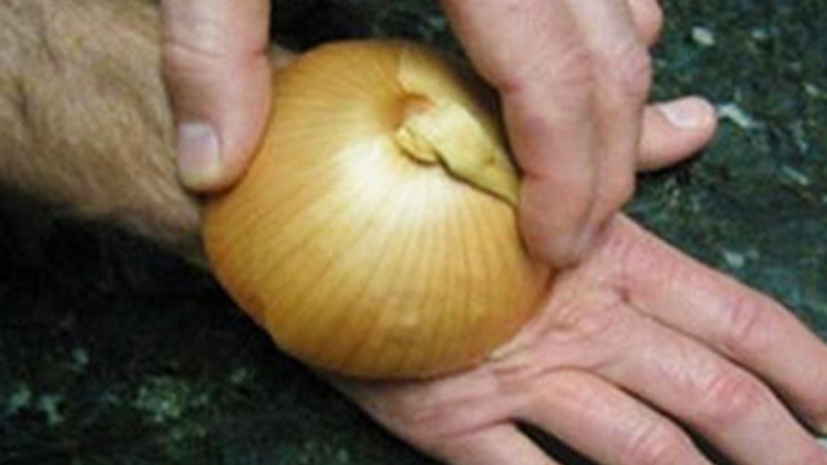 ramai uimit ce se intampla daca iti freci pielea cu ceapa