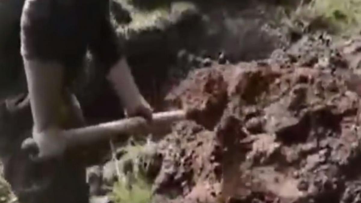 soldat ucrainean ingropat de viu