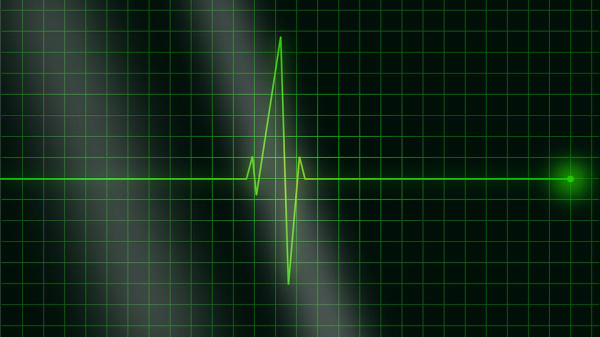 bilant morti canicula soare