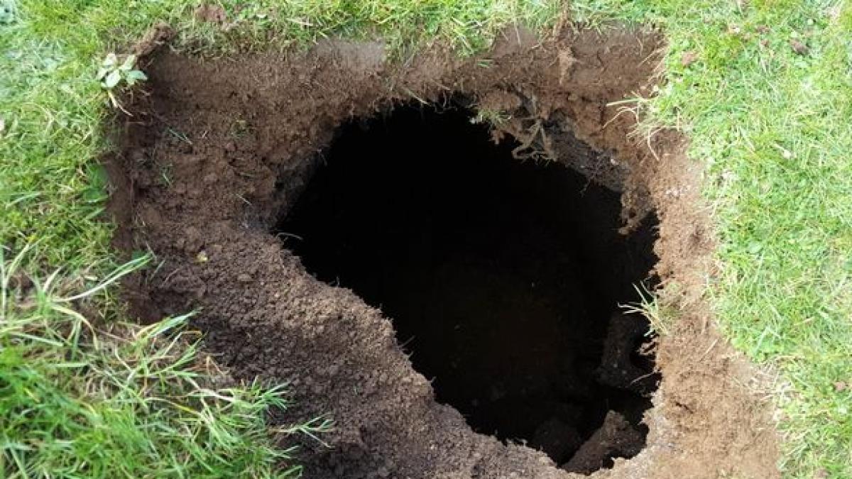 intamplare ciudata in gradina unei femei o gaura a aparut ca din senin in pamant ce a gasit familia