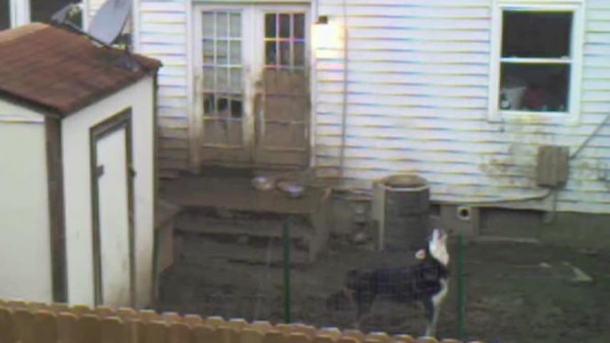 a instalat o camera indreptata spre curtea vecinului si a descoperit ceva ingrozitor