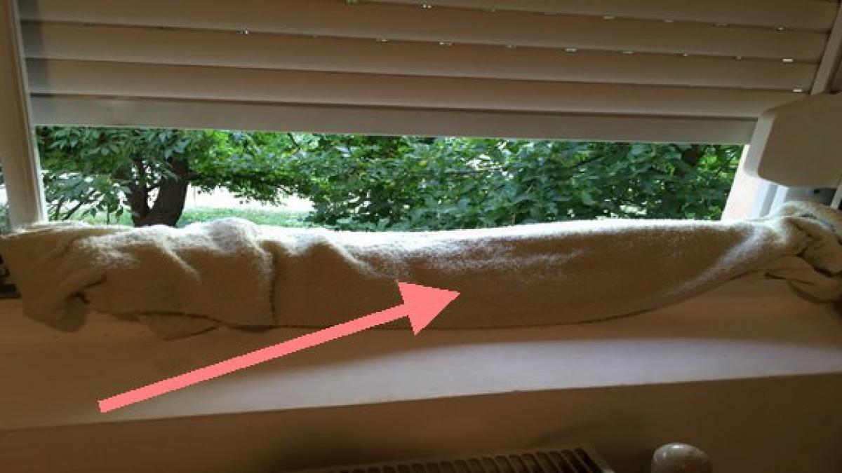 a pus un prosop ud la fereastra vezi motivul genial