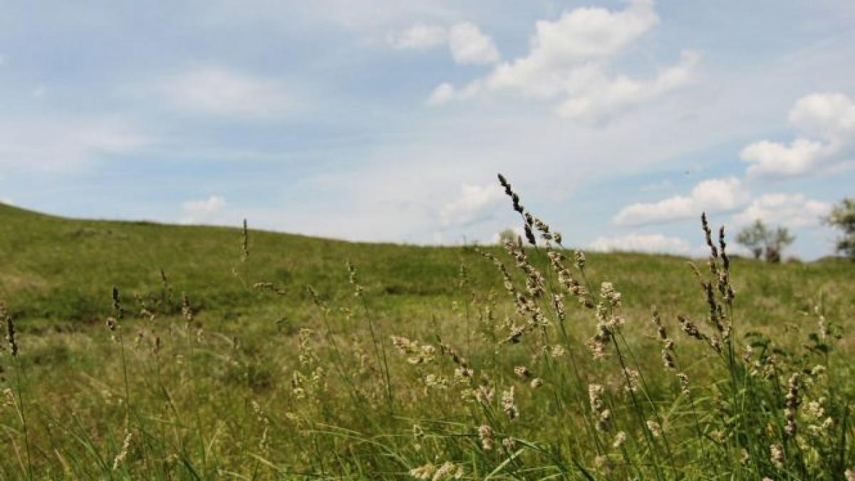 descoperire macabra pe un camp din alba