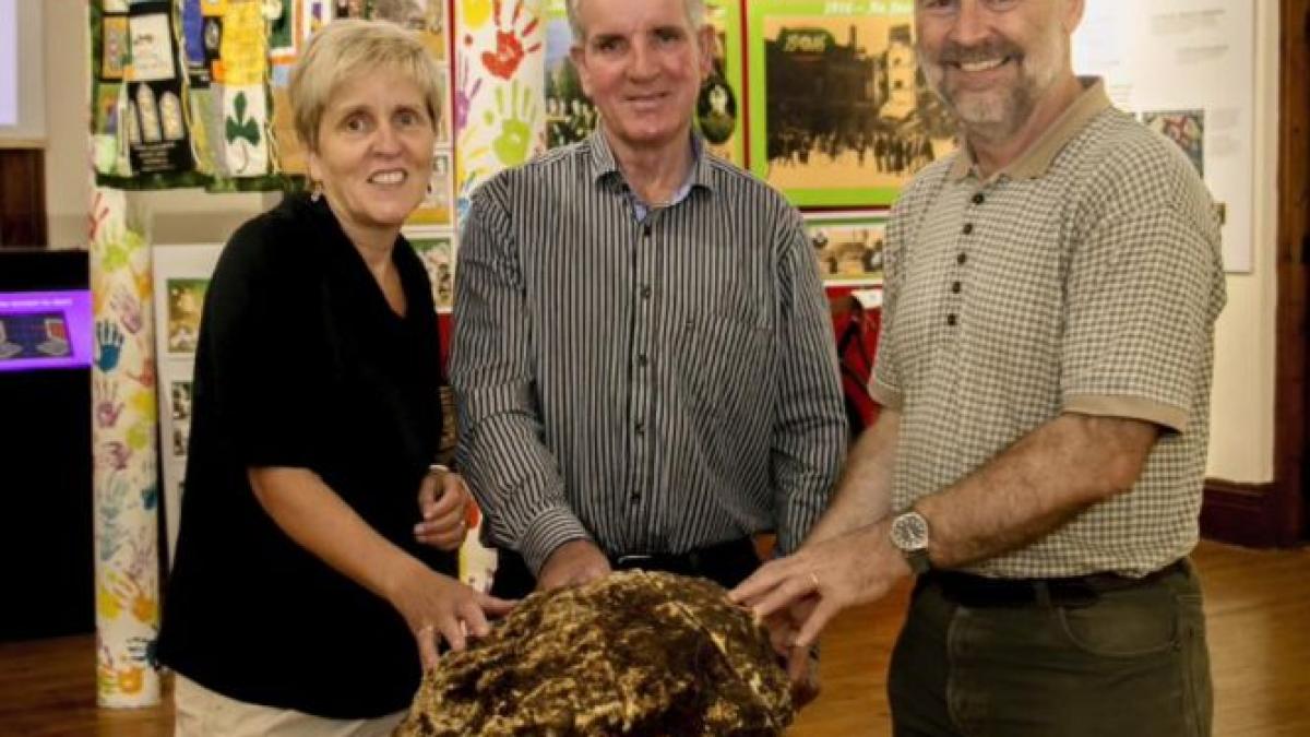 descoperire unt solidificat mlastina