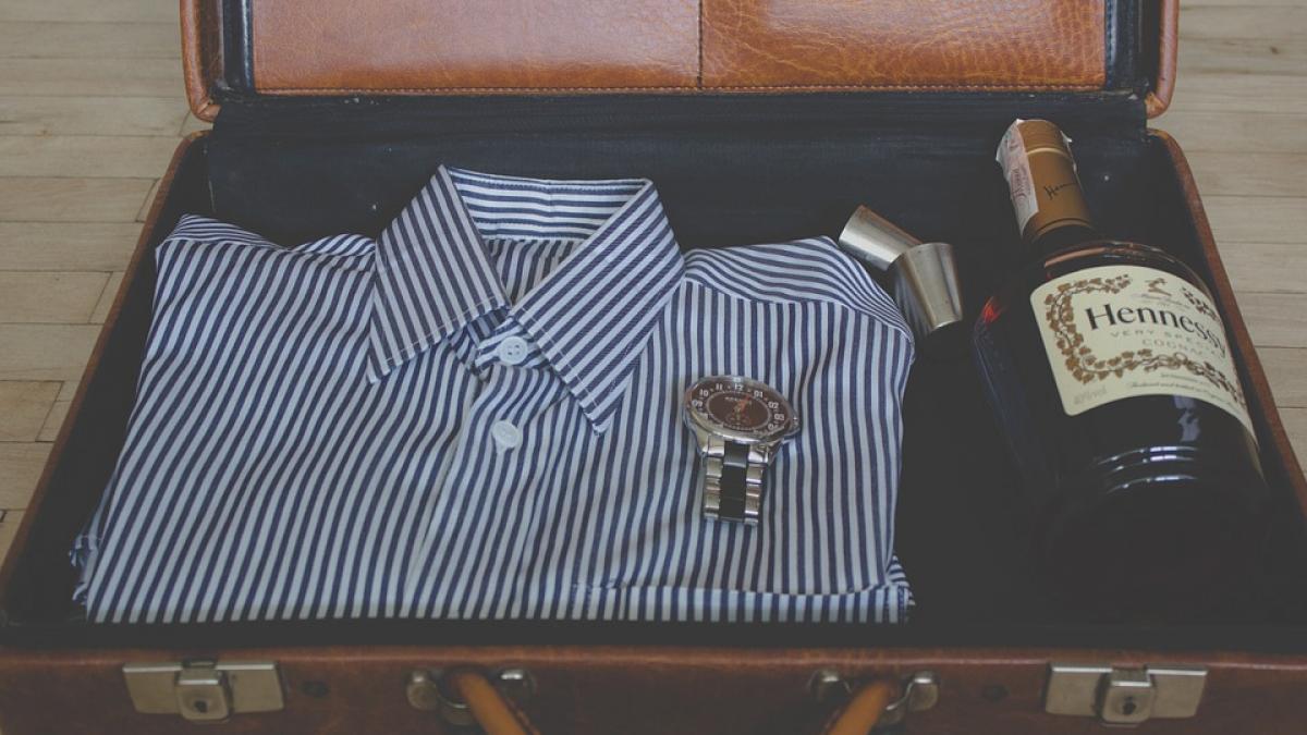 senatori decont bagaje euro 2016