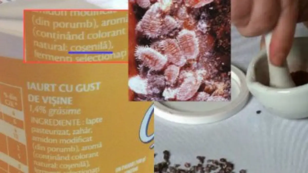 cele mai scarboase ingrediente din alimente pasta de gandaci excremente de insecte grasime de oaie