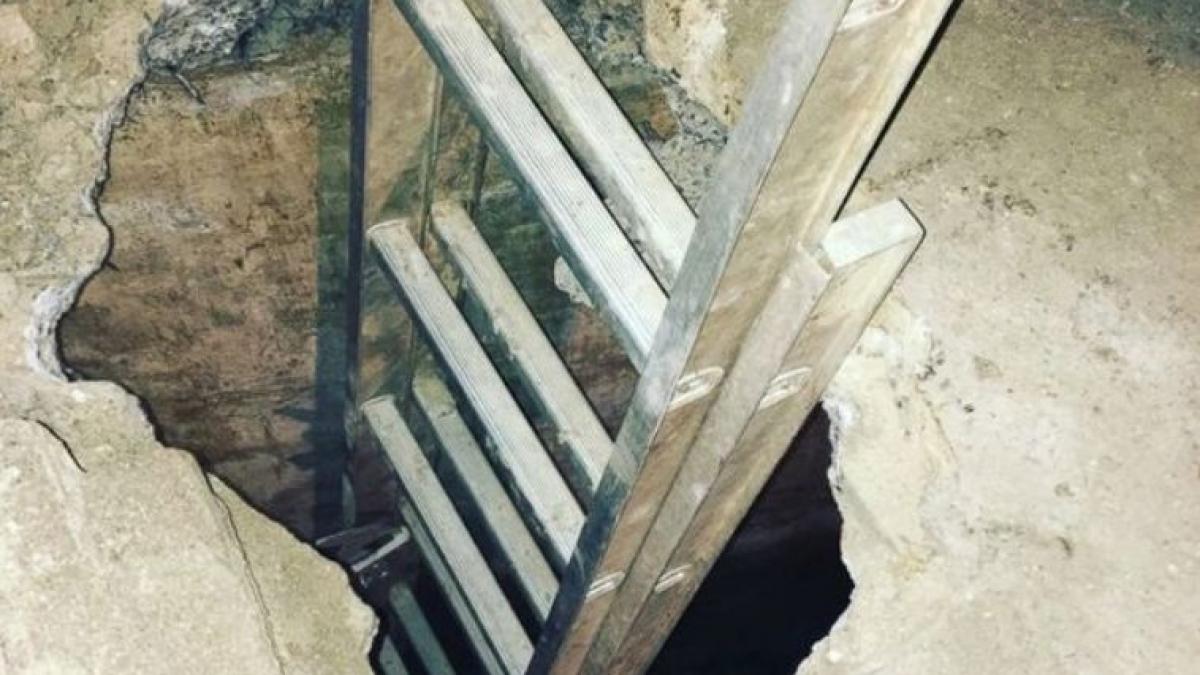 ce a descoperit o femeie in beci