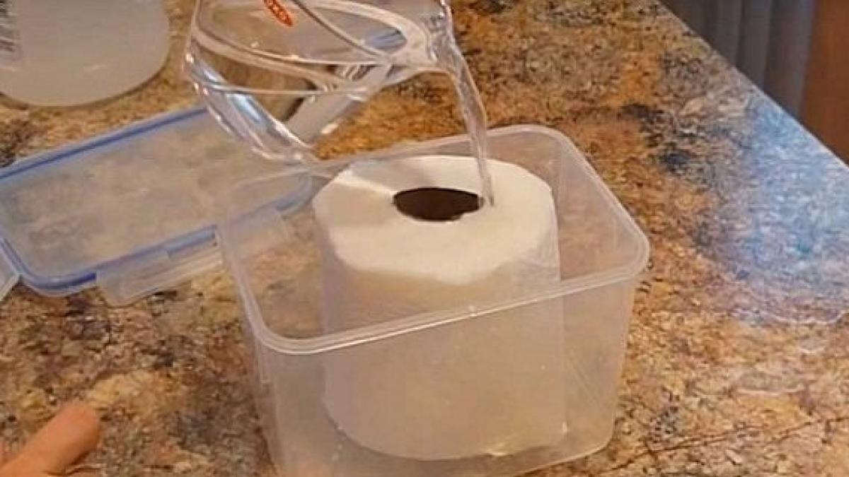 a inmuiat o hartie igienica in otet la ce a folosit o apoi super truc