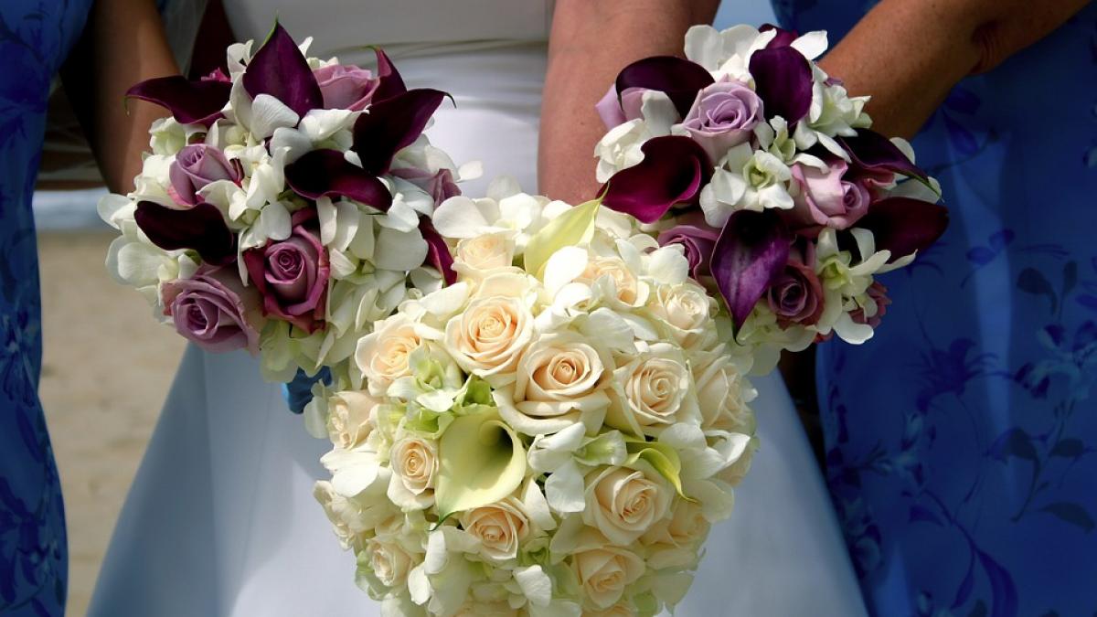 si au mutat nunta in mijlocul strazii ce s a intamplat cu petrecaretii