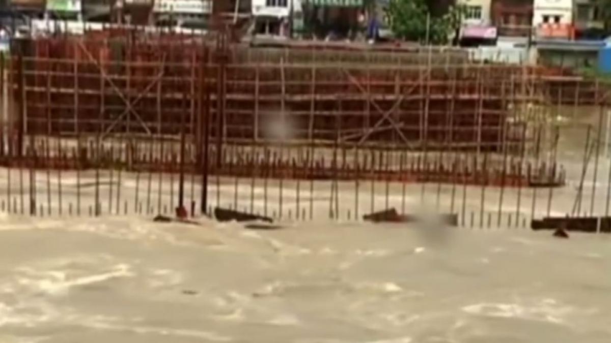 dezastru china inundatii morti animale