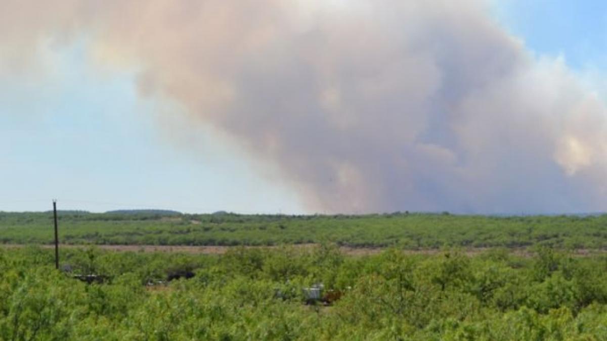 incendiu de vegetatie giurgiu teren agricol