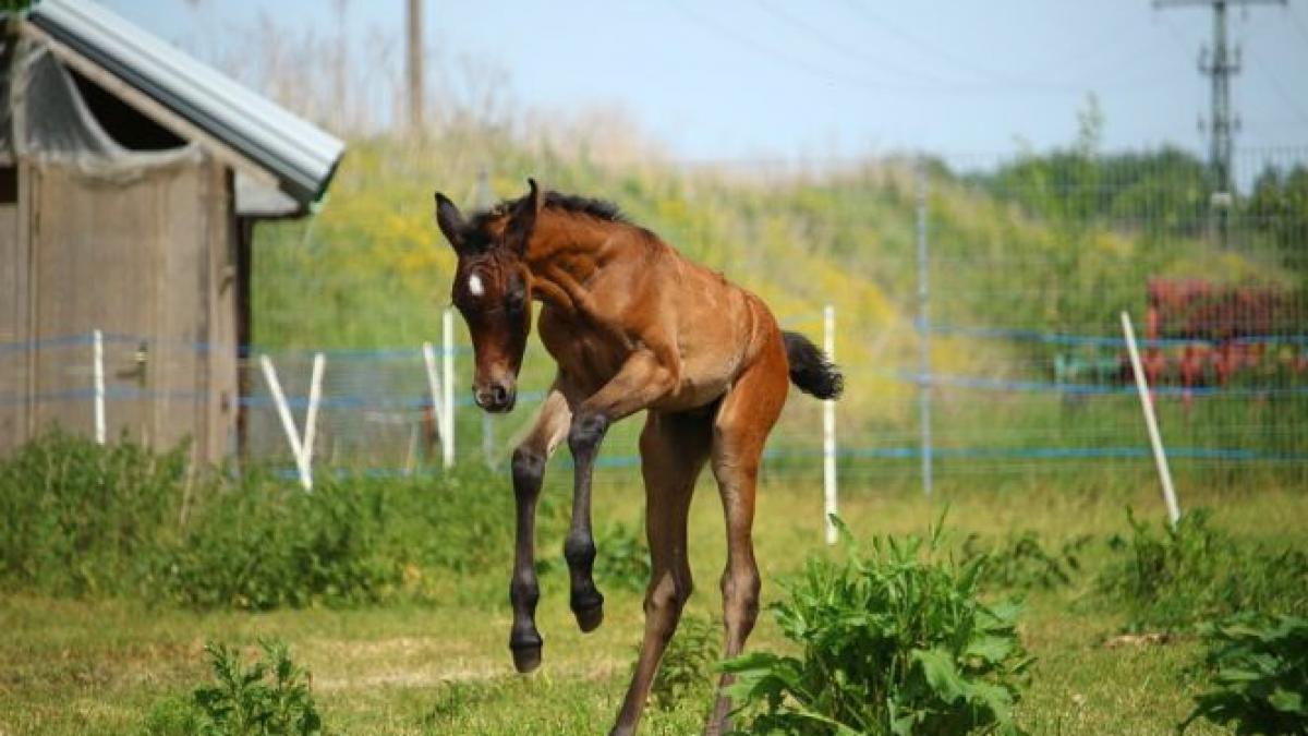 sapte persoane care se aflau intr o statie de autobuz din municipiul sighetu marmatiei au fost