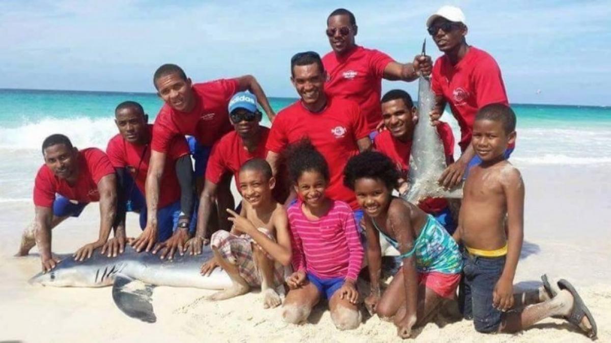 acesti tineri au vrut sa aiba o fotografie cu rechinul au ajuns sa regrete ce s a intamplat in