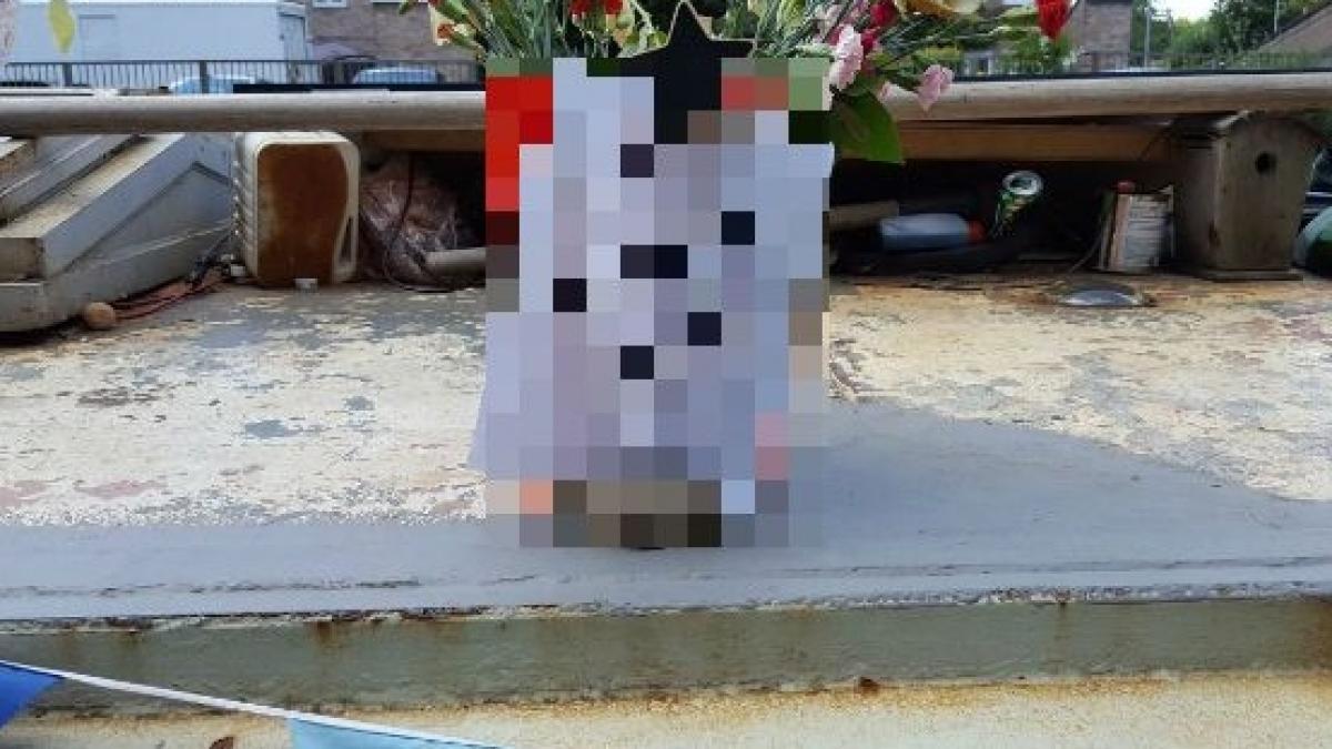 aparitie inedita pe o strada din londra imigrantilor din marea britanie nu le a venit sa creada