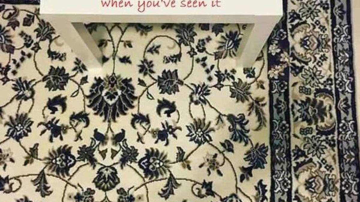 internetul a luat o razna din cauza acestui covor tu cat de repede gasesti telefonul