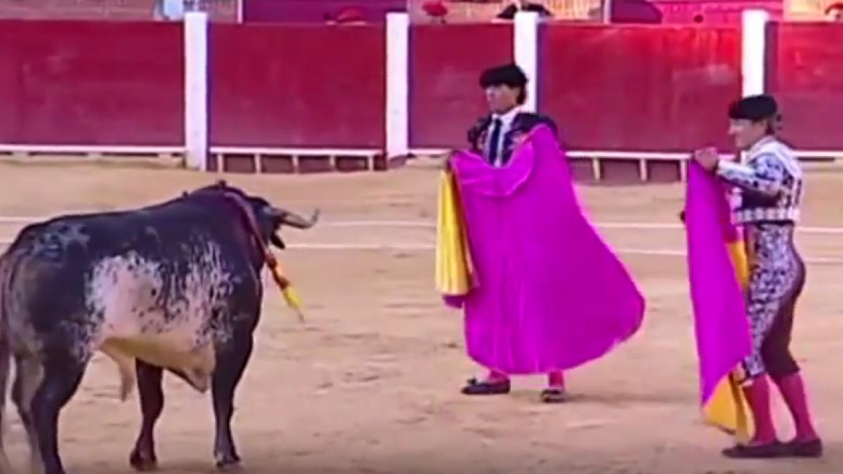scene dramatice in spania un celebru matador a murit in direct la tv impuns de taur