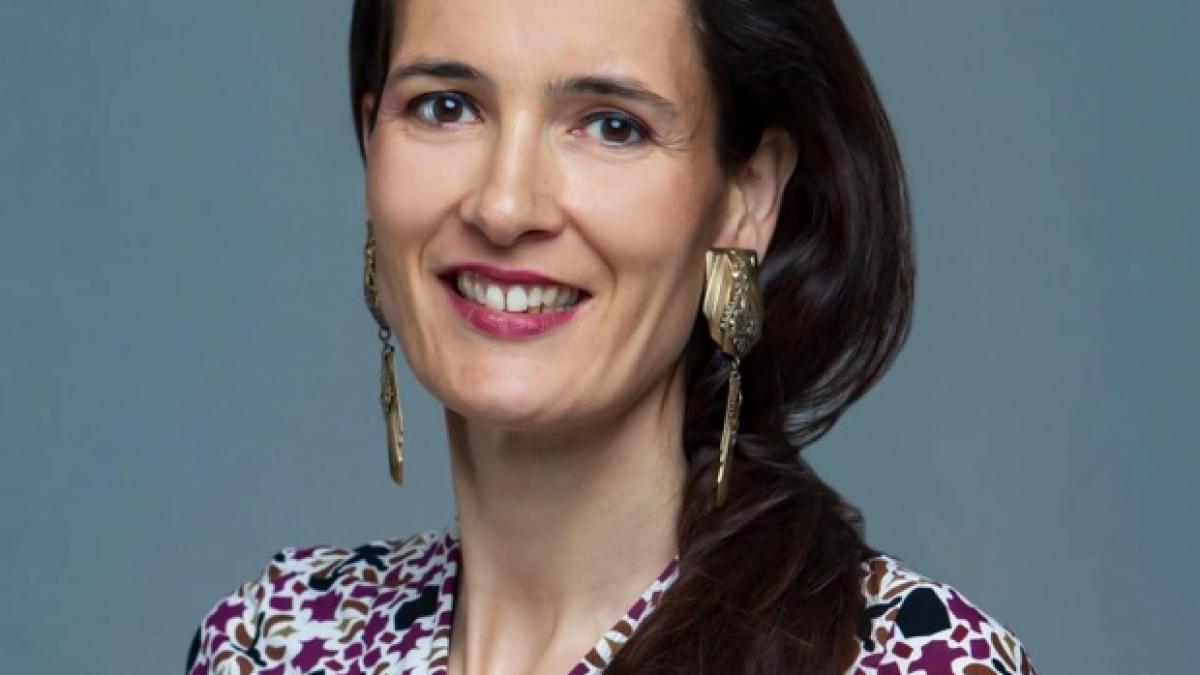 clotilde armand atac dur la pnl ramane un partid nereformat corupt si clientelar care a dezamagit