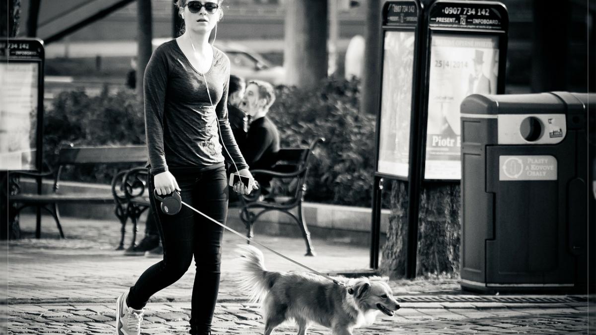 te ai intrebat de ce frantuzoaicele sunt slabe si arata atat de bine 15 reguli de la care nu se