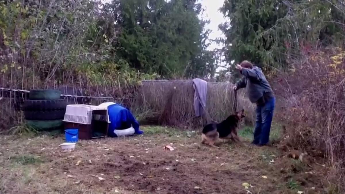 a incercat sa salveze acest caine agresiv legat de gard ce a urmat este socant video